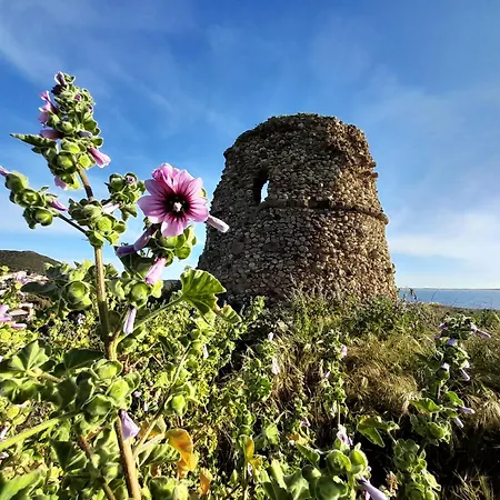 Da Valentino Tatil Evi S'Archittu